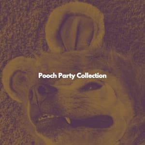 Pooch Party Collection - Musik zum Lernen
