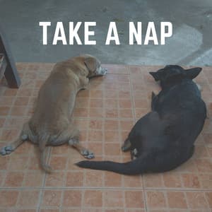 Take a Nap - Sleeping Music For Dogs