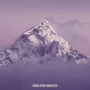 Himalayan Ambience - Daves Gordson