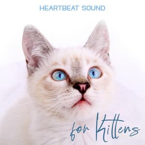 Heartbeat Sound for Kittens: Soothe and Calm Your Little Kitten, Sleepy Kitten Music, Sound for Cats - Cats Music Zone