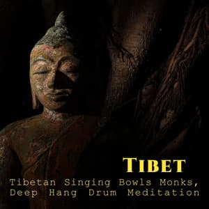 Tibet: Tibetan Singing Bowls Monks, Deep Hang Drum Meditation - Chanting Buddhist World