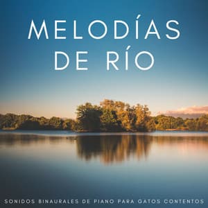 Melodías De Río: Sonidos Binaurales De Piano Para Gatos Contentos - Música suave de piano