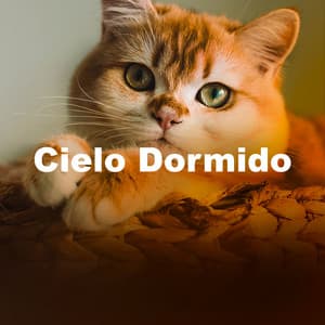 Cielo Dormido - Música Para Dormir Profundo