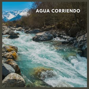 Agua Corriendo - Sonidos De Agua