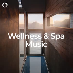 Wellness & Spa Music - Wellness Pur