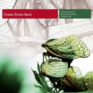 Cicada Dream Band - Pauline Oliveros