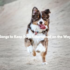 Songs to Keep Dogs Entertained on the Way - Música para Restaurantes Salón