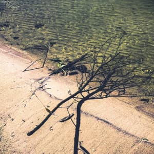 Deathly Heritage - Byelti