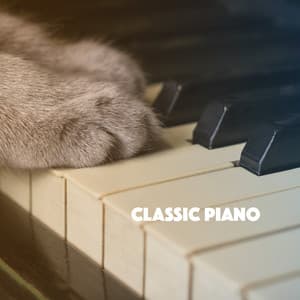 Classic Piano - Exam Study Classical Music Orchestra