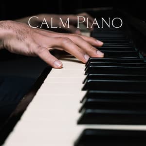 Calm Piano: Relaxing Music for Productive Learning - Brain Study Music Guys
