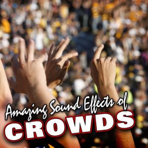 Amazing Sound Effects of Crowds - Sound FX