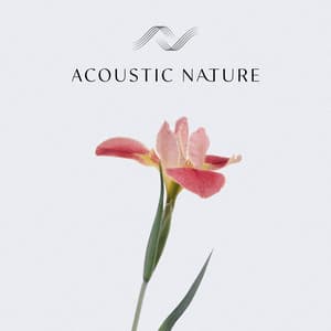 Acoustic Nature - Christopher Salt