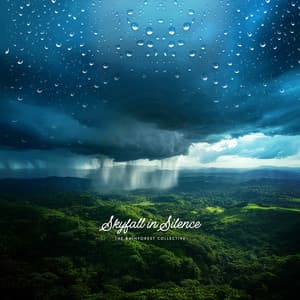 Skyfall In Silence - The Rainforest Collective