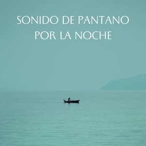 Sonido De Pantano Por La Noche - Los durmientes de agua