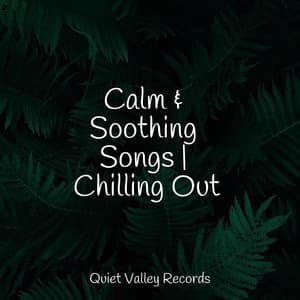 Calm & Soothing Songs | Chilling Out - Nature Sounds Radio