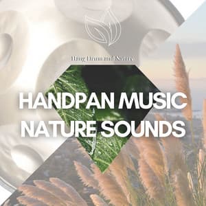 Handpan Music and Nature Sounds - Amazing Spa Music