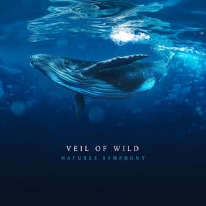 Veil of Wild - Nature's Symphony