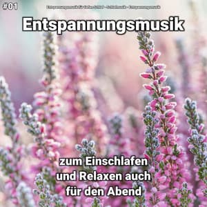 #01 Entspannungsmusik zum Einschlafen und Relaxen auch für den Abend - Entspannungsmusik für tiefen Schlaf