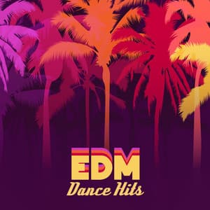 EDM Dance Hits – L.A. Beach Music, Tropical Vibes, Chillout & Hip Hop Mix - Stuck Back Steve