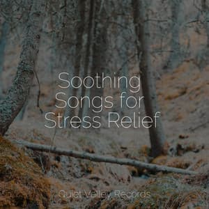 Soothing Songs for Stress Relief - Nature Sounds for Relaxation and Sleep