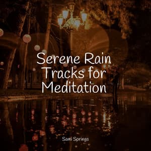 Serene Rain Tracks for Meditation - Rain Sounds Rain