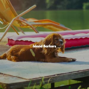 Island Barkers - Bossa Nova Brazil