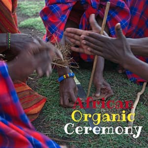 African Organic Ceremony: Reviving Ancestral Traditions with Ritual Drums - Tribal Drums Ambient