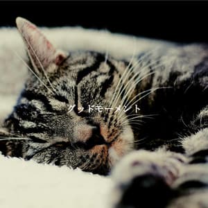 グッドモーメント - Cool Jazz Moods