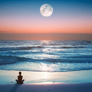 Ritmos Lofi Pacíficos: Música Relajante Para Relajarse - Relax de hip-hop