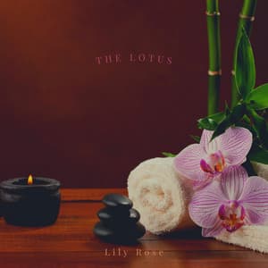 The Lotus - Lily Rose