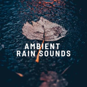Ambient Rain Sounds - Rain WRLD
