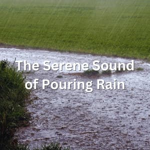 The Serene Sound of Pouring Rain - Summer Showers
