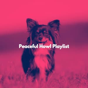 Peaceful Howl Playlist - Musica Relajante para Perros Momentos