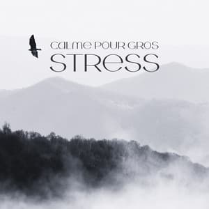 Calme pour gros stress: Thérapie relaxante contre le stress avec les sons de la nature et la méditation - Oasis Des Bruits Naturels