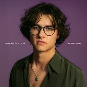 20 Years From Now - David Kushner