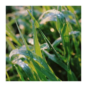 Get Positive Attitude - Chill Out Time Consort