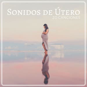 Sonidos de Útero 20 Canciones: Música con Efectos Sonoros que Ayudan a Relajar a los Bebés - Musica para Bebes Especialistas