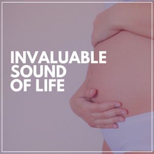 Invaluable Sound of Life - Womb Sound