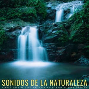 Sonidos De La Naturaleza: Vibraciones De Cascadas Relajantes Para El Trabajo Duro - Cascadas Relajantes