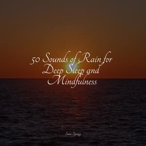 50 Sounds of Rain for Deep Sleep and Mindfulness - Deep Sleep