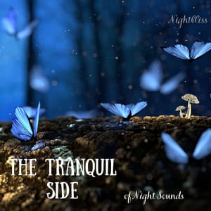 The Tranquil Side of Night Sounds - Nightbliss