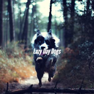 Lazy Day Dogs - Relaxing Dog Music Beats