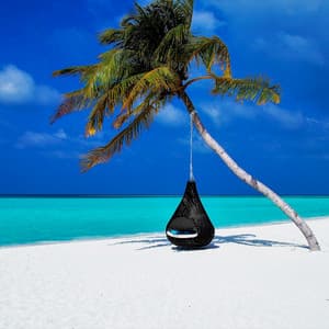 50 Water Songs: Tropical Serenity - Sea Waves Sounds