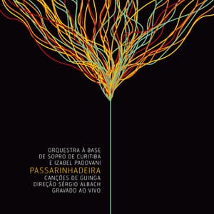 Passarinhadeira - ao Vivo - Orquestra à Base De Sopro De Curitiba