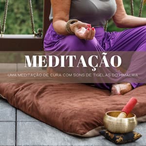 Meditação: Uma Meditação De Cura Com Sons De Tigelas Do Himalaia - Música Para Cães Adormecidos