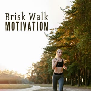 Brisk Walk Motivation: Workout Chillout Music for Fast Walking - Running Music Ensemble
