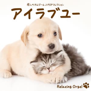 アイラブユー～癒しのオルゴール　J-POPコレクション - Relaxing Orgel