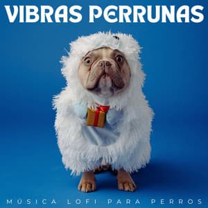 Vibras Perrunas: Música Lofi Para Perros - Música Para Dormir A Los Perros