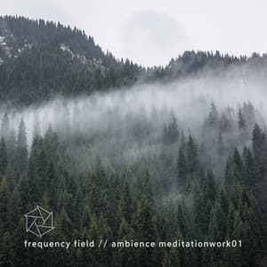 Ambience Meditationwork01 - Frequency Field