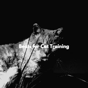 Beats for Cat Training - Vintage Cafe Ambiance
